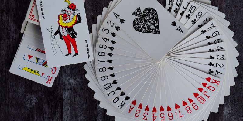 Khám phá sâm lốc